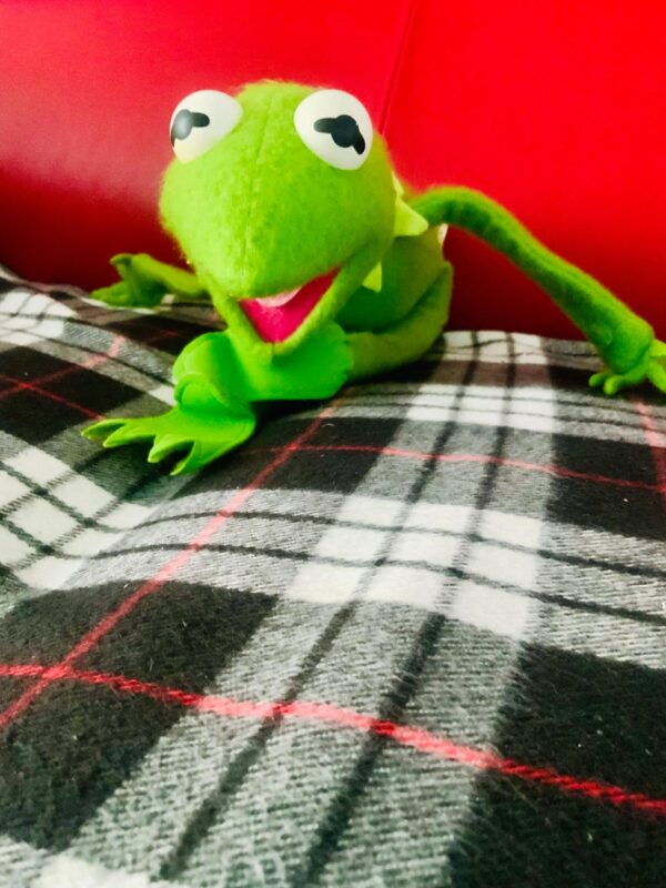 Kermit Frog Muppet Fisher Price 1976 Vintage Figur alt Filz