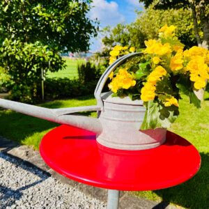 Alte Vintage Rosenkanne Giesskanne Kanne Zink Blumen Deko