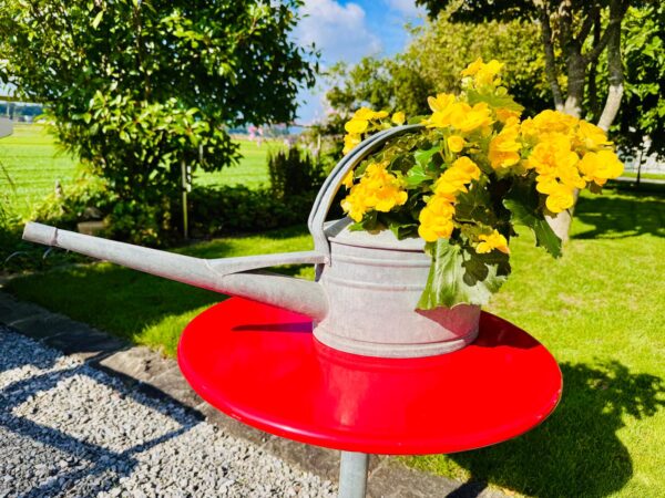 Alte Vintage Rosenkanne Giesskanne Kanne Zink Blumen Deko