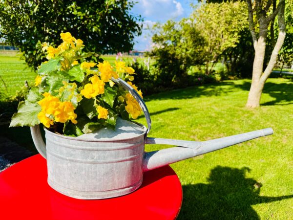 Alte Vintage Rosenkanne Giesskanne Kanne Zink Blumen Deko